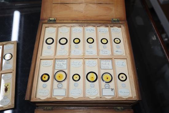 Two cases of scientific microscope slides many by Dareston, Birmingham